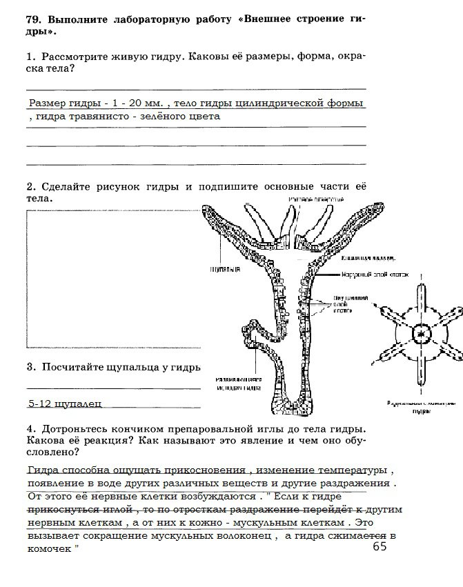 Kra14.at