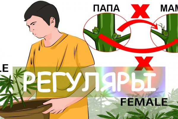 Взломанный аккаунт кракен