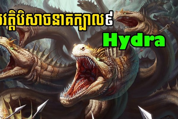 Kraken tor ссылка kraken014 com