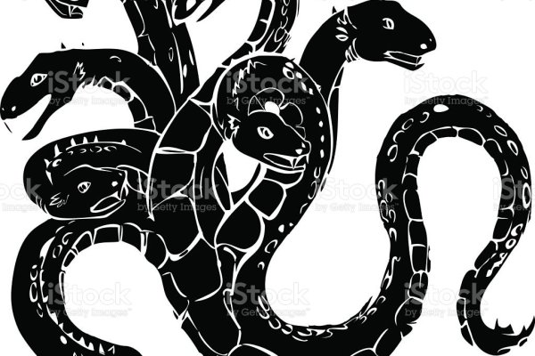 Kraken 5 at