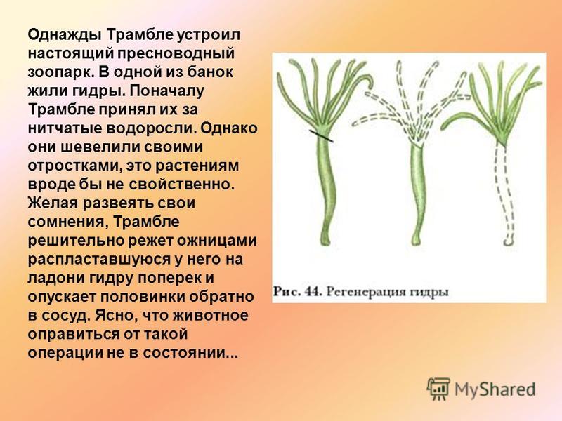 Кракен вход магазин
